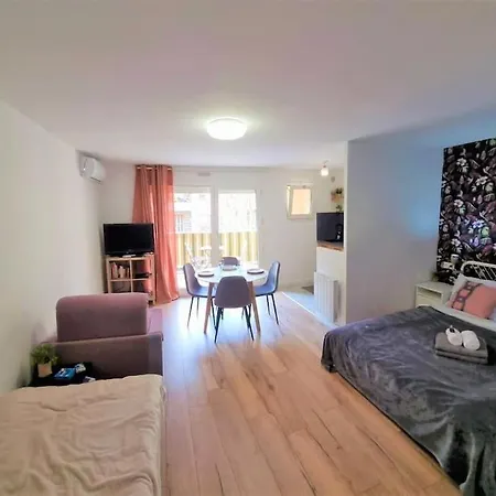 Studio Nice, Avenue Des Fleurs, Climatise Apartment